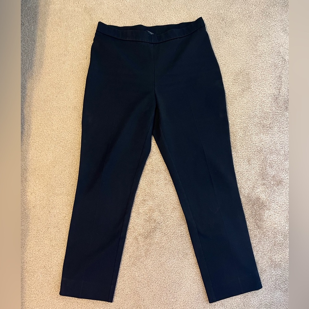 Investments black pants Size 12 regular Ankle length with a hidden side zipper